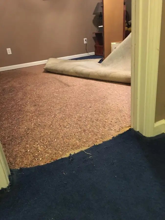 Carpet pad removal revealing water damage during Water Mitigation Services in North Brunswick